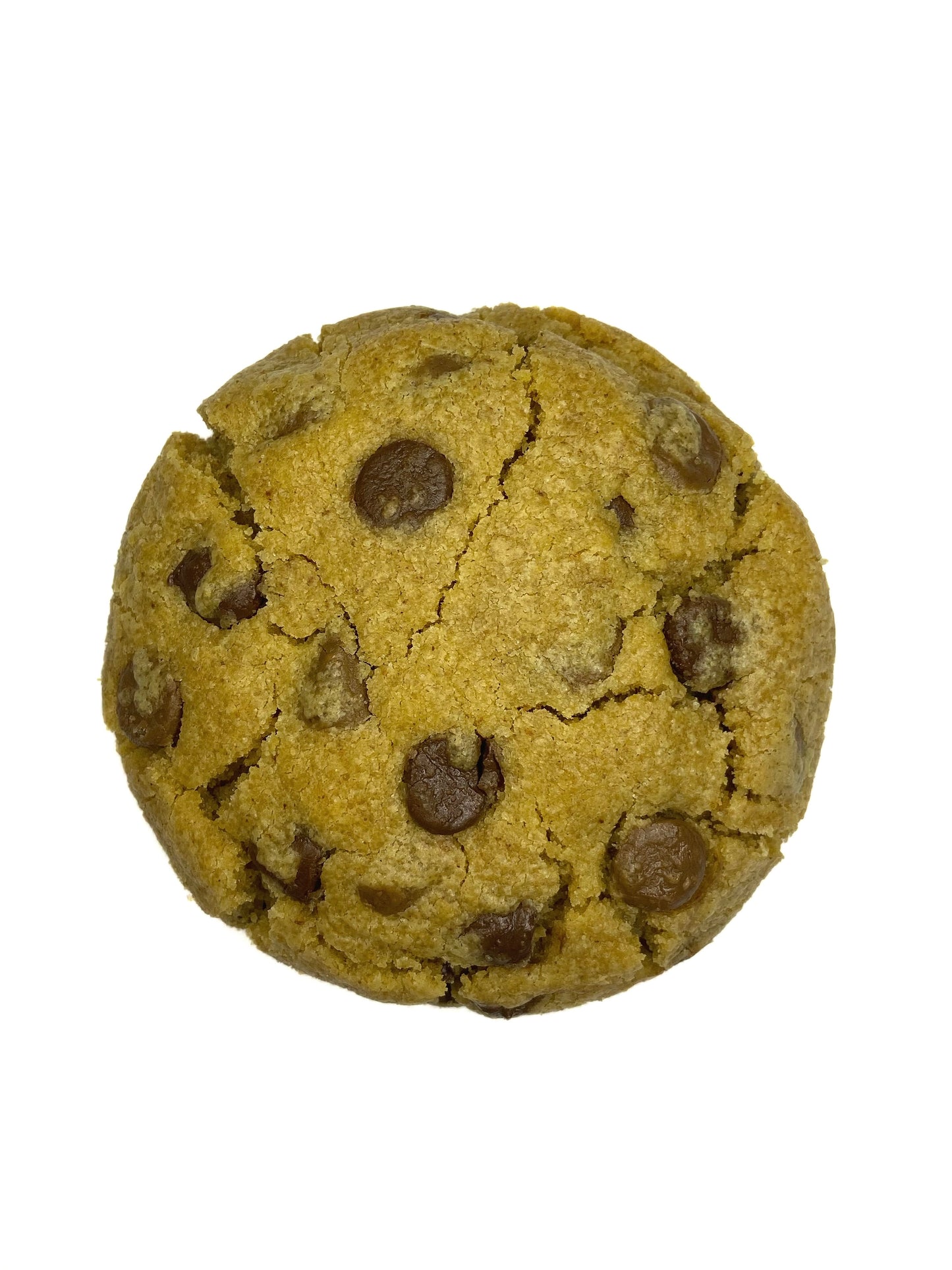Chocolate Chip